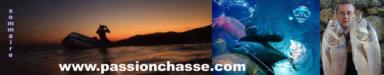 http://www.passionchasse.com/acceuil.htm