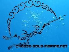 http://www.chasse-sous-marine.net/