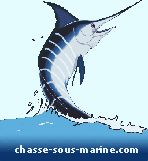 http://www.chasse-sous-marine.com/